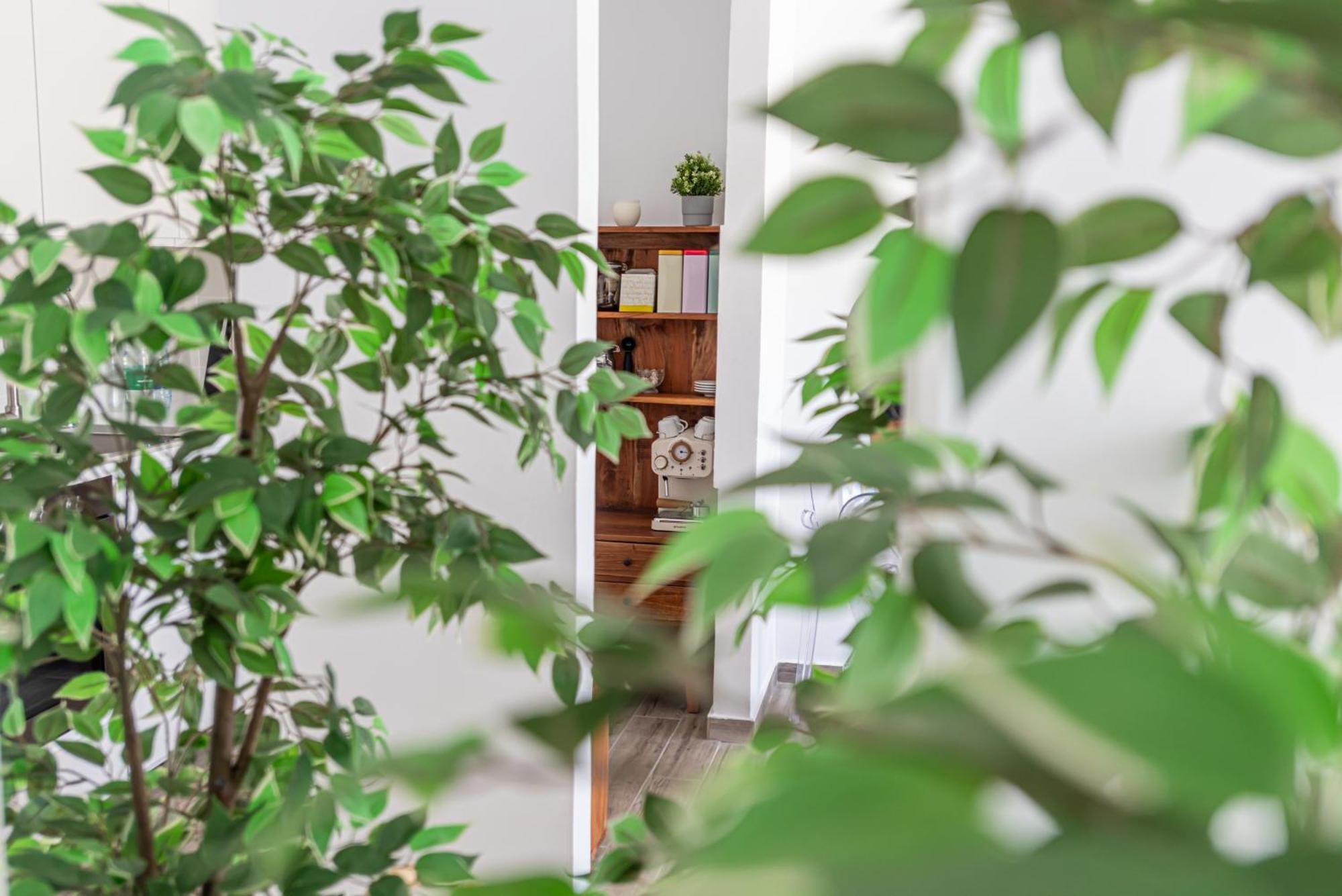 Ferienwohnung Fuerte Hygge Tarajalejo Exterior foto